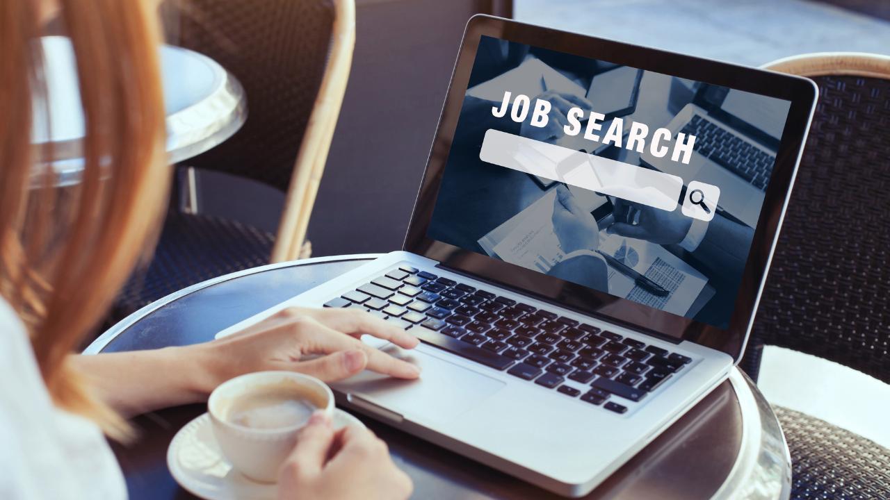 job search guidance