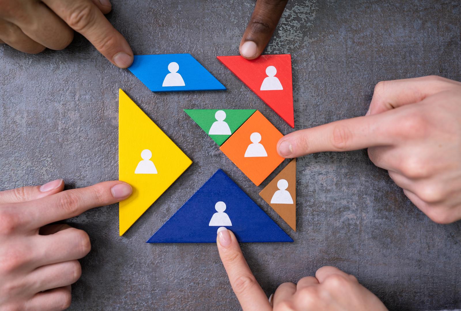 Organizational Capacity